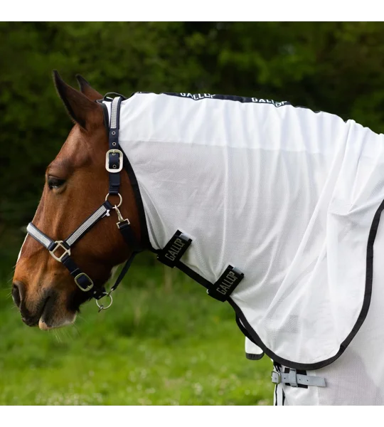 Gallop Ponie Dual 5-Point Fly Rug & Neck Set White