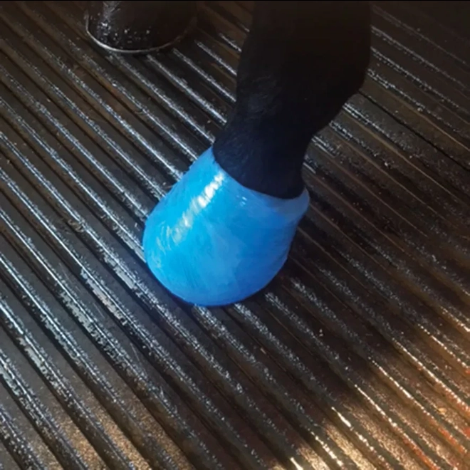 Additional Image for Vetcling  Pack 3 in 7 colours