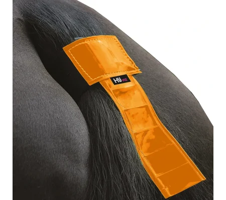 HyVIZ Tail Band by Hy Equestrian One Size Orange