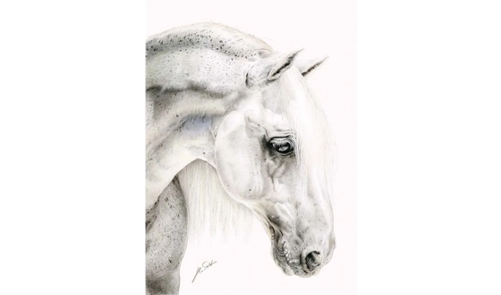 Category Image for Art Prints