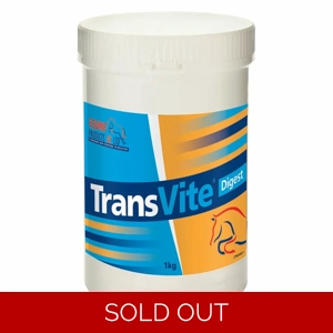 Transvite Gut Balancer