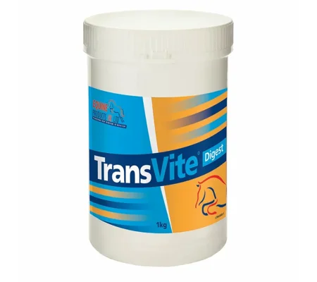 Transvite Gut Balancer