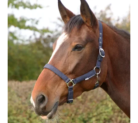 Hy Equestrian Glitzy Headcollar Navy