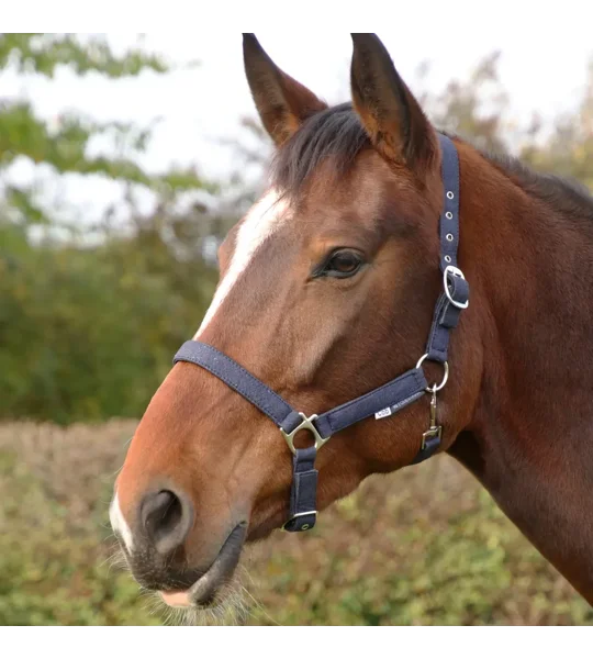 Hy Equestrian Glitzy Headcollar Navy
