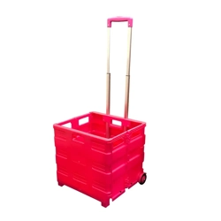 GPC Folding Box Truck 35kg Pink