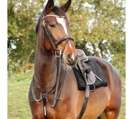 Hy Equestrian Rosciano Rose Gold Bridle - Brown/Rose Gold