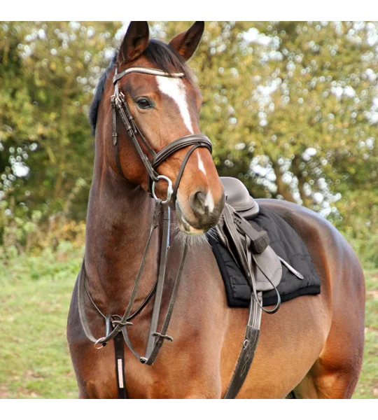 Hy Equestrian Rosciano Rose Gold Bridle - Brown/Rose Gold