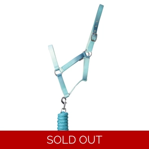 Hy Equestrian Ombre Head Collar & Lead Rope - Teal