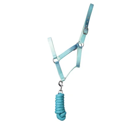 Hy Equestrian Ombre Head Collar & Lead Rope - Teal