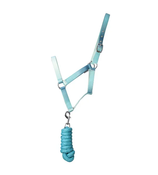 Hy Equestrian Ombre Head Collar & Lead Rope - Teal
