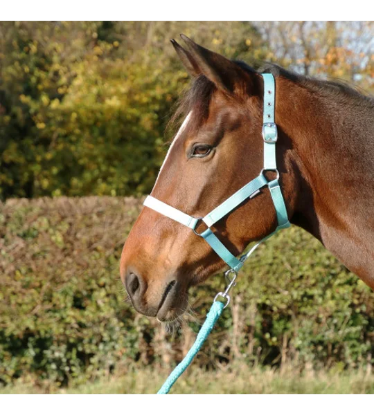 Hy Equestrian Ombre Head Collar & Lead Rope - Teal