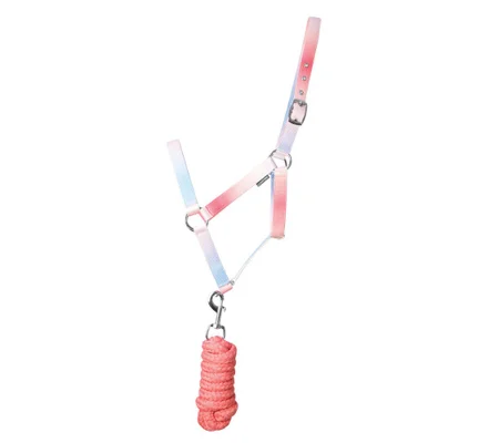 Hy Equestrian Ombre Head Collar & Lead Rope - Coral/Blue