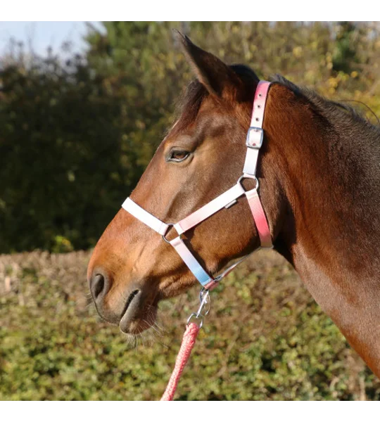Hy Equestrian Ombre Head Collar & Lead Rope - Coral/Blue