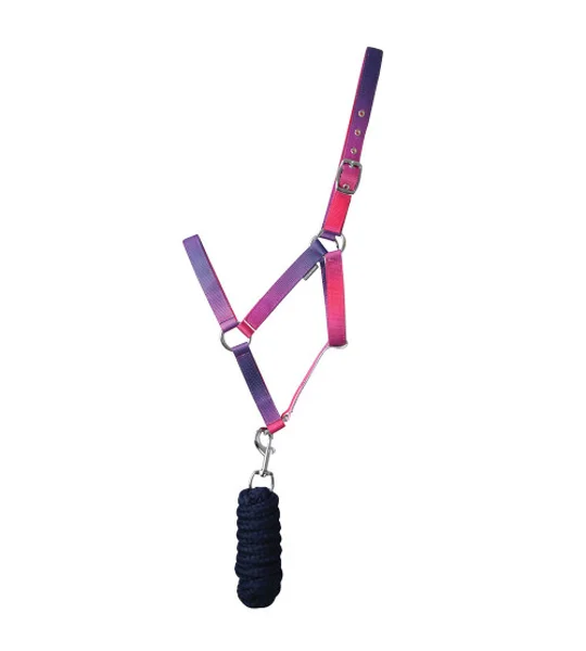 Hy Equestrian Ombre Head Collar & Lead Rope - Pink/Purple/Navy