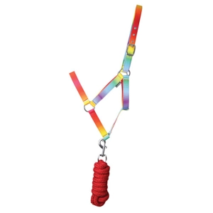 Hy Equestrian Ombre Head Collar & Lead Rope - Rainbow