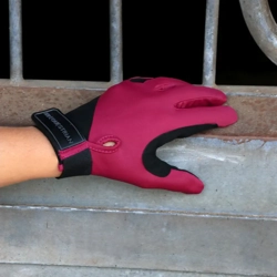 Hy Equestrian Absolute Fit Glove   Purple