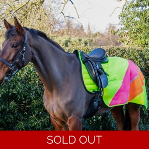 Reflector Quarter Mesh Exercise Sheet by Hy Equestrian - Yellow/Pink/Orange