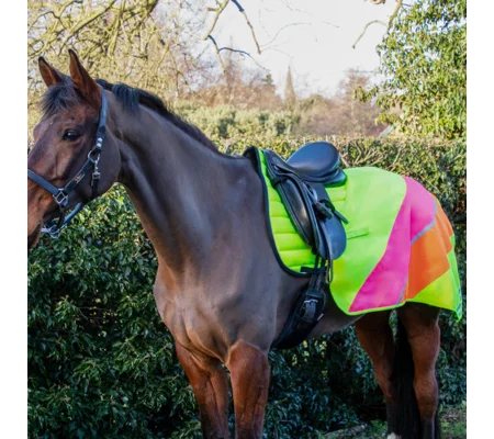 Reflector Quarter Mesh Exercise Sheet by Hy Equestrian - Yellow/Pink/Orange