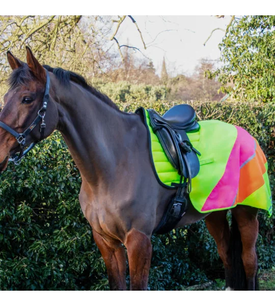 Reflector Quarter Mesh Exercise Sheet by Hy Equestrian - Yellow/Pink/Orange
