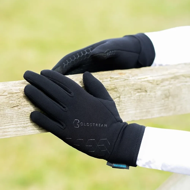 product Image for Coldstream Eccles StormShield Gloves