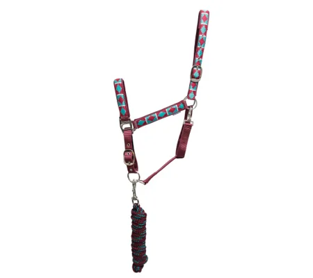 Hy Equestrian Woven Polo Head Collar and Lead Rope Aqua/Fig