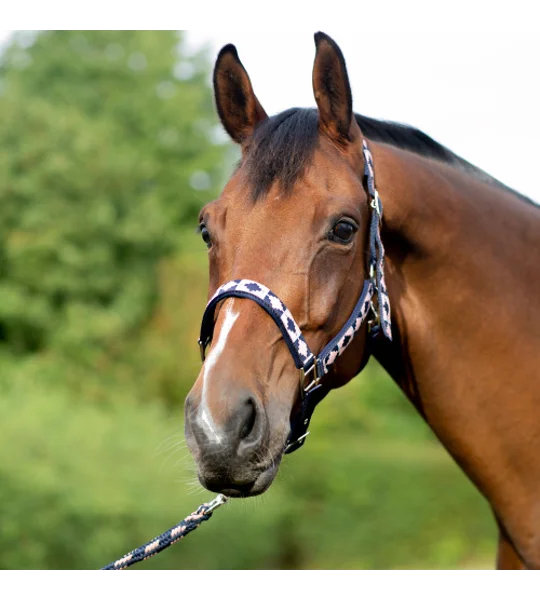 Hy Equestrian Woven Polo Head Collar and Lead Rope Navy/Rose