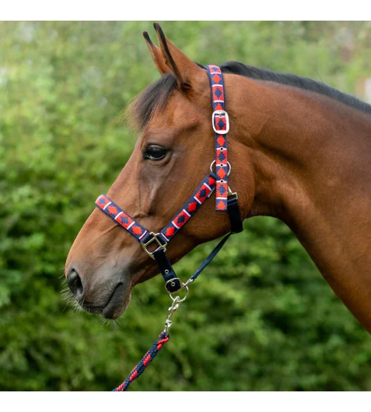 Hy Equestrian Woven Polo Head Collar and Lead Rope Navy/Red