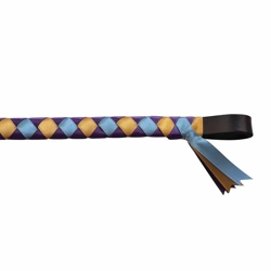 ShowQuest Epson Brow Band   Purple/Blue/Sunshine
