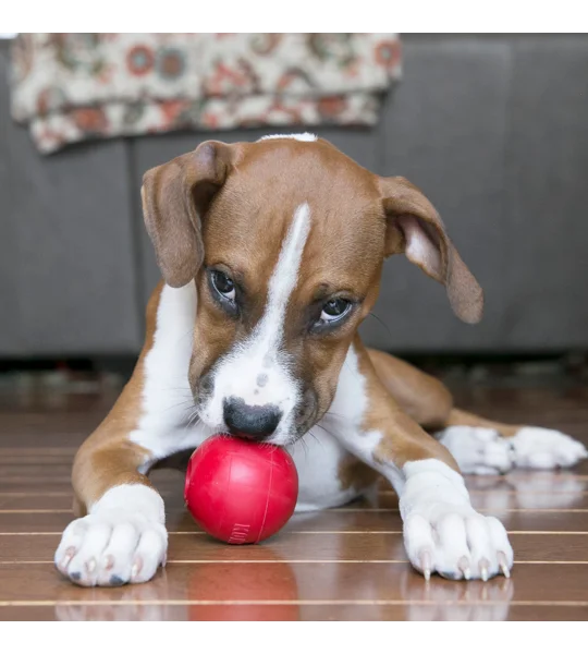 KONG Ball with Hole - Large