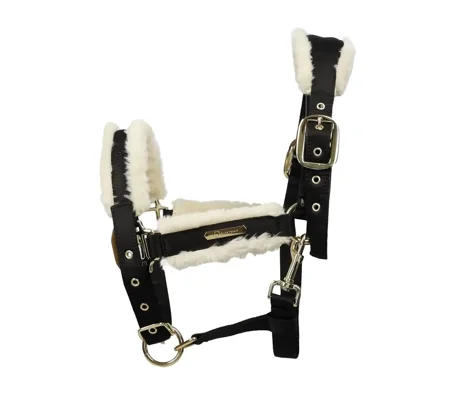 Coldstream Langlee Luxury Head Collar & Lead Rope Black