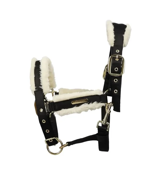 Coldstream Langlee Luxury Head Collar & Lead Rope Black