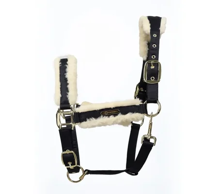 Coldstream Langlee Luxury Head Collar & Lead Rope Navy