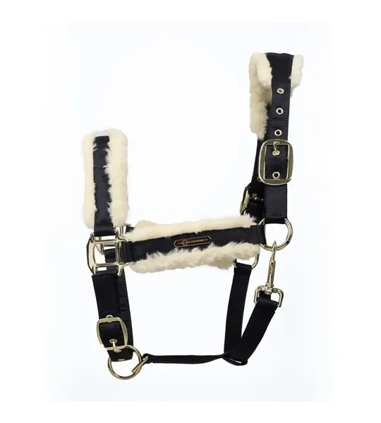 Coldstream Langlee Luxury Head Collar & Lead Rope Navy