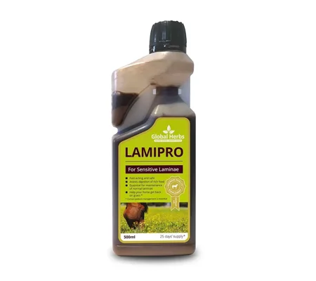 Global Herbs LamiPro Liquid