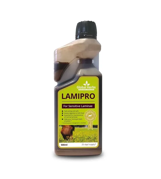 Global Herbs LamiPro Liquid