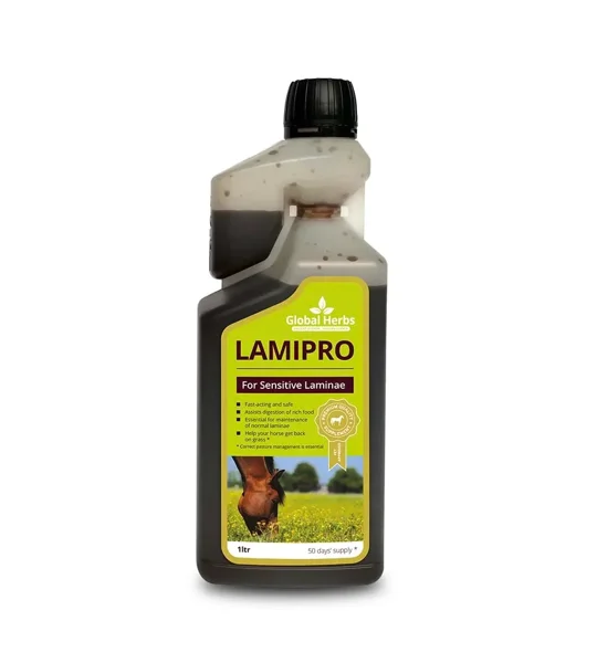 Global Herbs LamiPro Liquid