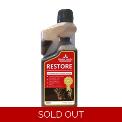 Global Herbs Restore Liquid