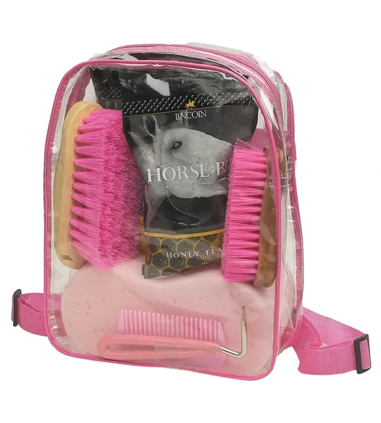 Lincoln Treat Bag - Pink