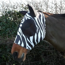 Hy Equestrian Lycra Zeb..