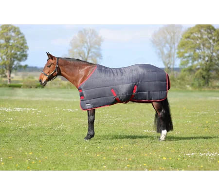 HyCONIC 250g Stable Rug