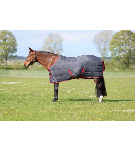 HyCONIC 250g Stable Rug