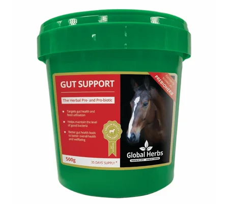 Global Herbs Gut Support