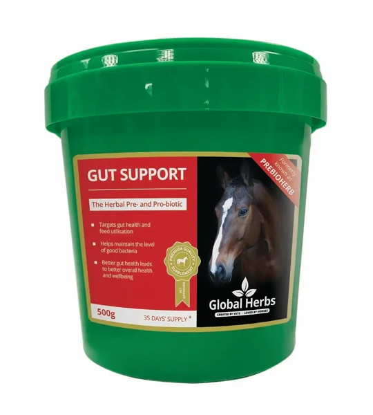 Global Herbs Gut Support