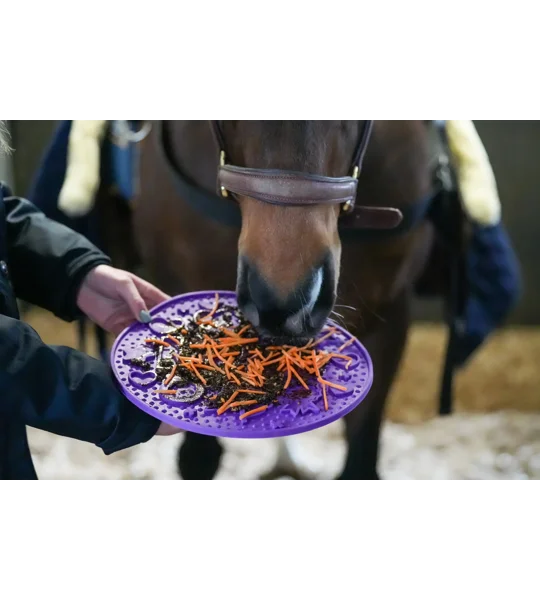 Likit Graze Maze - Purple