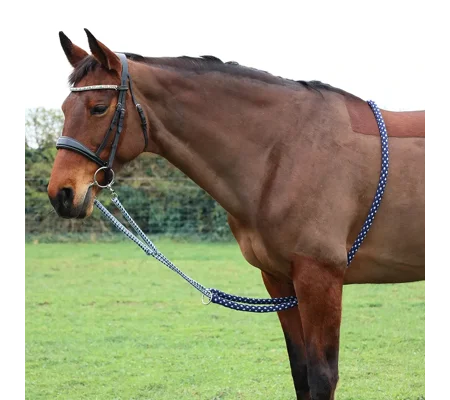 Hy Equestrian Lunging Aid Navy/Grey