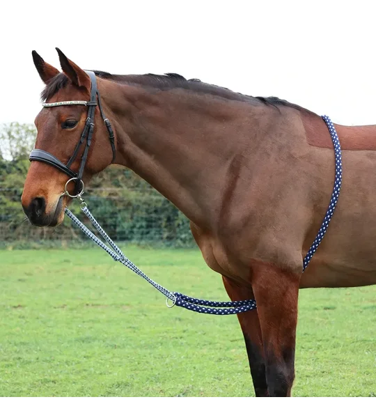 Hy Equestrian Lunging Aid Navy/Grey
