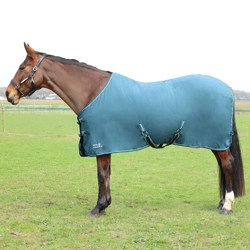 StormX Empra Pima Cotton Sheet  Teal