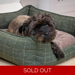 House of Paws Moss Tweed Rectangle Bed