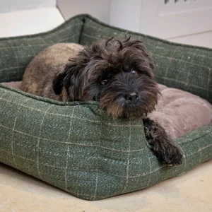SOFT BEDS