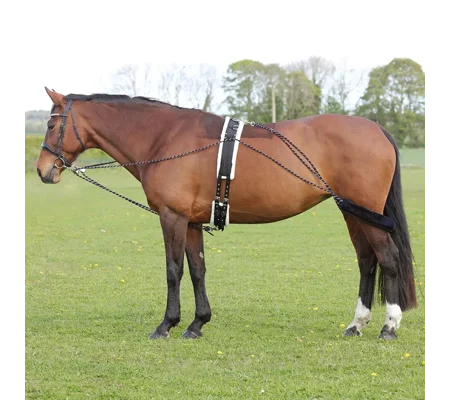 Hy Equestrian Lunging System